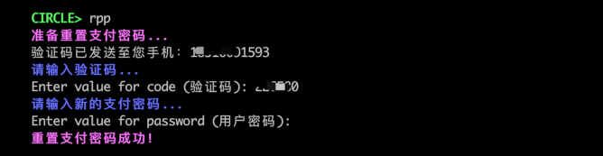 reset pay password
